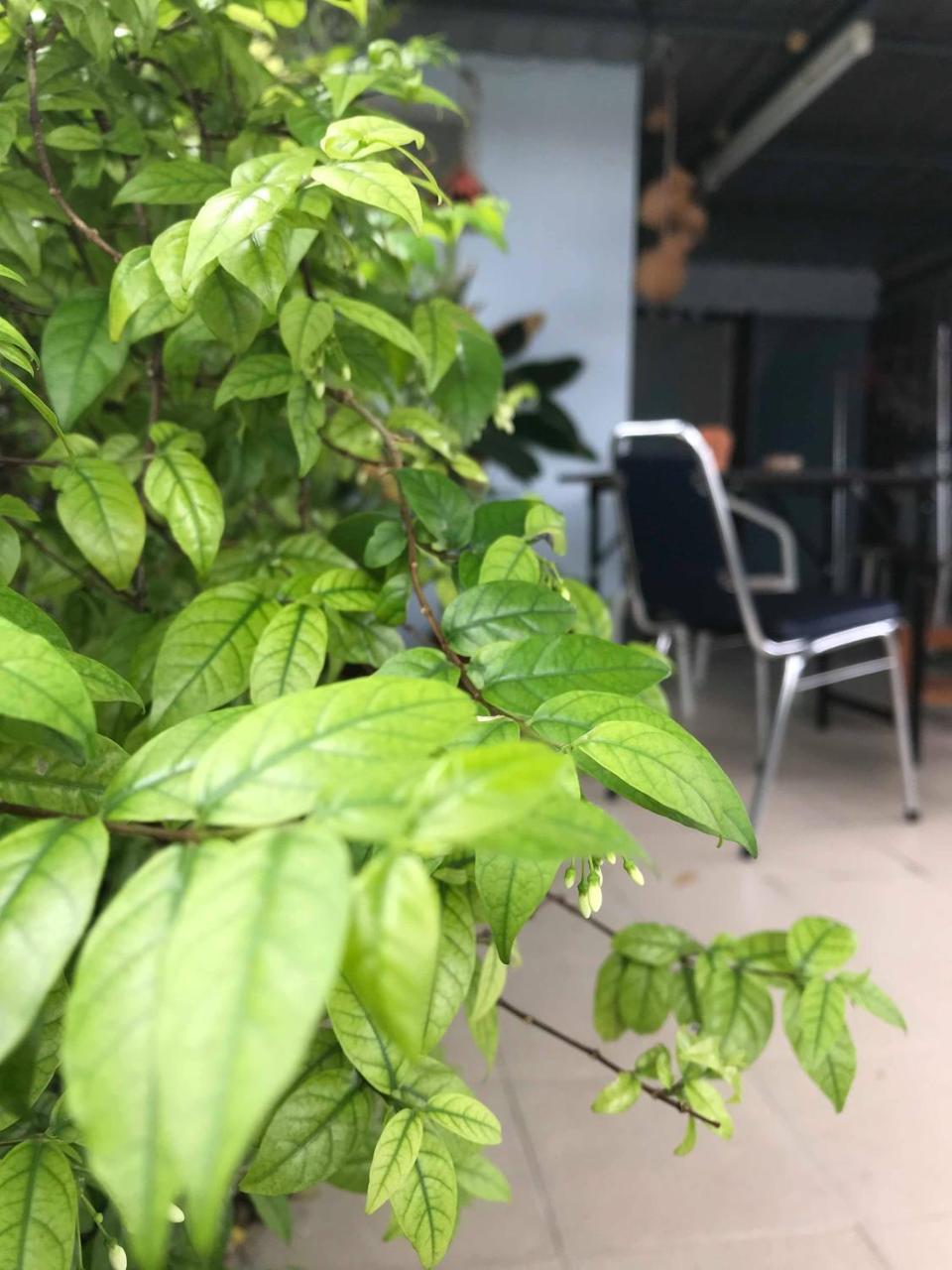 Jeesnail Guesthouse Bangkok Bagian luar foto