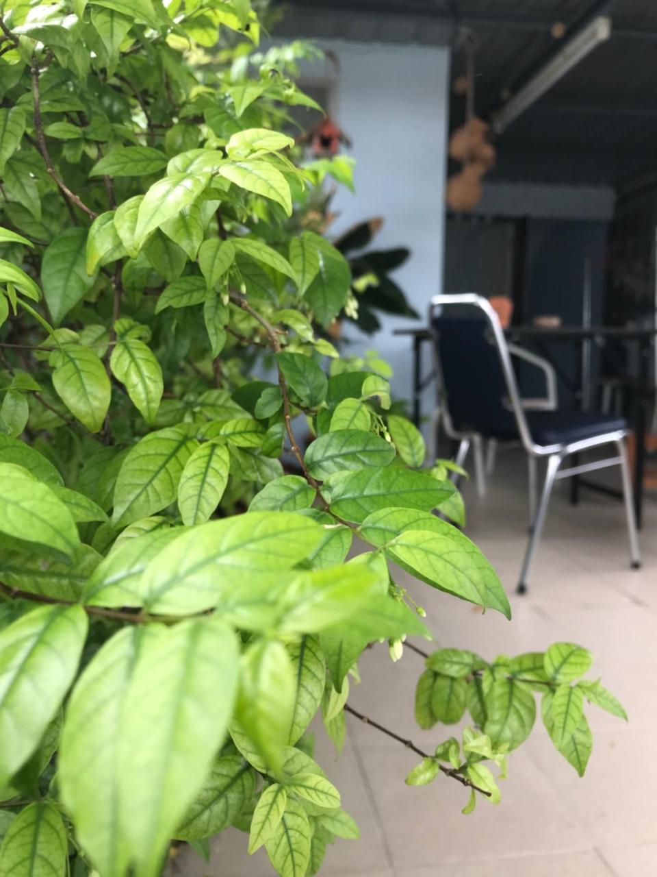 Jeesnail Guesthouse Bangkok Bagian luar foto
